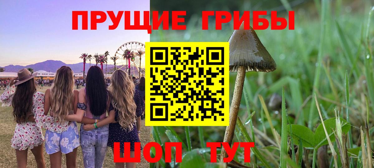 Санкт-Петербург  Псилоцибиновые грибы Magic Shrooms  где продают наркотики  Вход с VPN 